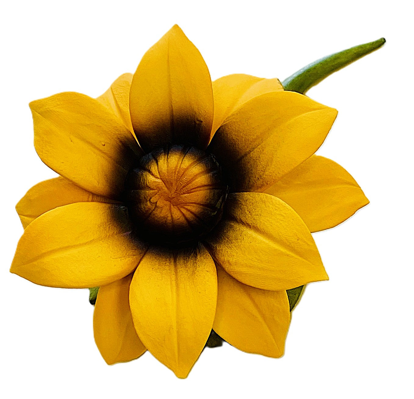 Close-up of a yellow flower with a dark center on a white background