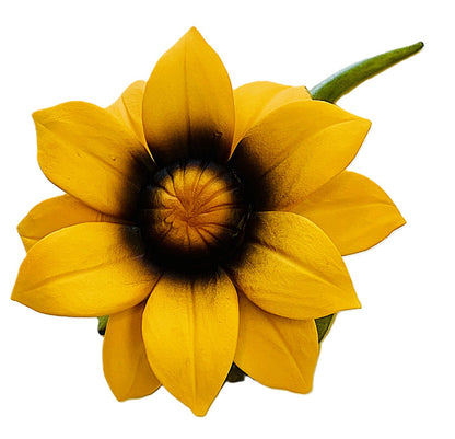 Close-up of a yellow flower with a dark center on a white background