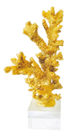 Coral Golden 11.5"tall X 5"wide X 5"deep