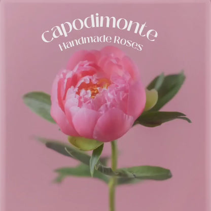 Capodimonte Roses Cornucopia Pink porcelain flower hand made in Italy