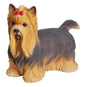 Yorkshire Terrier Hand Painted Dog Standing Figurine